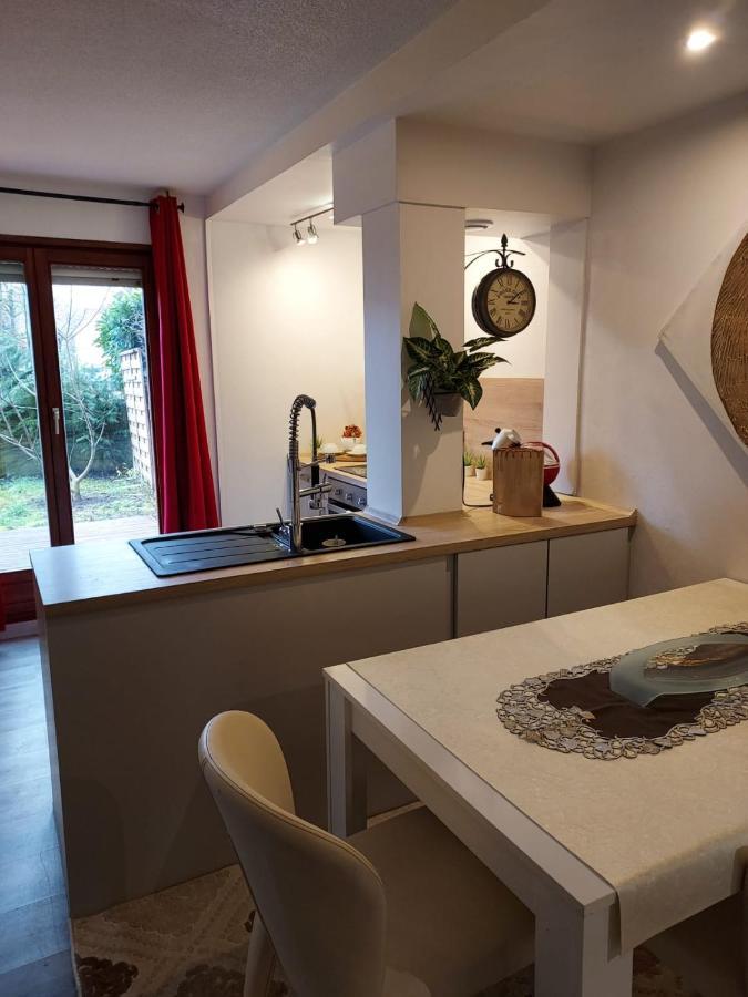 Residence Du Vieux Chateau Jardin & Parking Gratuit Mulhouse Exteriör bild