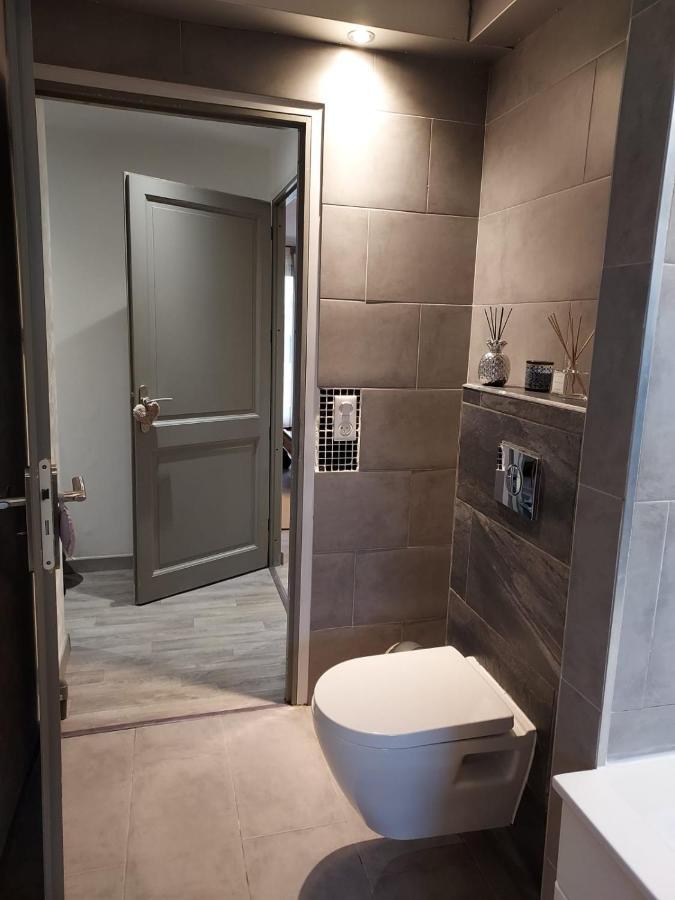 Residence Du Vieux Chateau Jardin & Parking Gratuit Mulhouse Exteriör bild