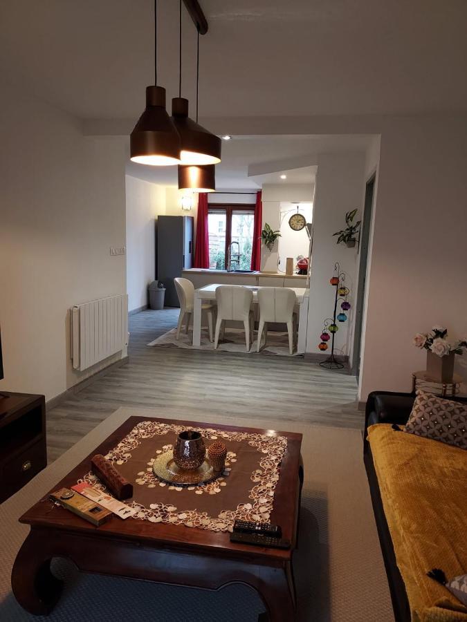 Residence Du Vieux Chateau Jardin & Parking Gratuit Mulhouse Exteriör bild