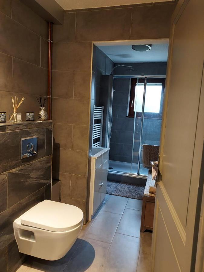 Residence Du Vieux Chateau Jardin & Parking Gratuit Mulhouse Exteriör bild