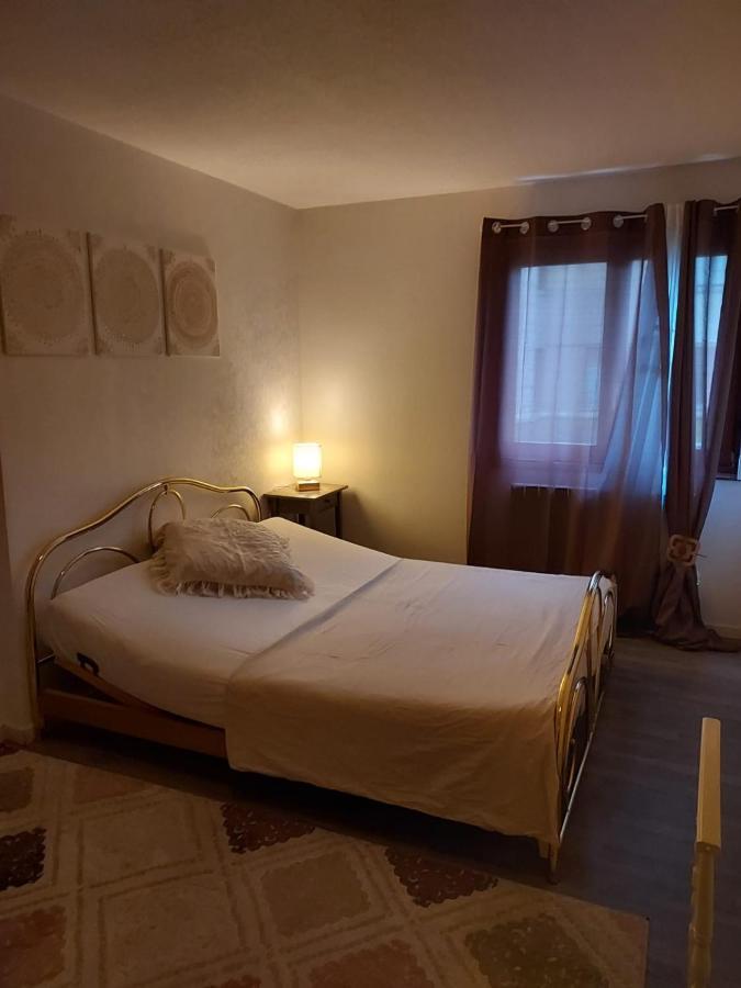 Residence Du Vieux Chateau Jardin & Parking Gratuit Mulhouse Exteriör bild